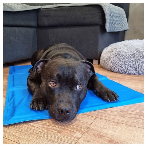 PetCool® Alfombrilla de Enfriamiento para Perros